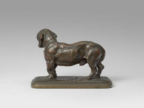 Basset debout, image 2/2