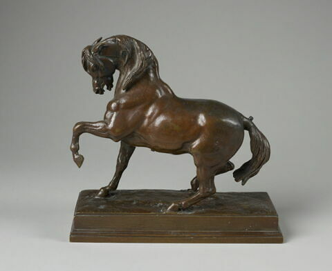Cheval turc n°2, image 2/2