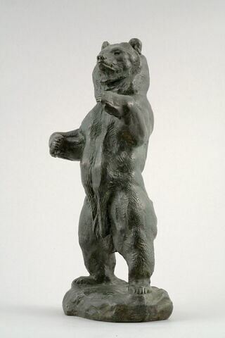 Ours debout, image 2/10