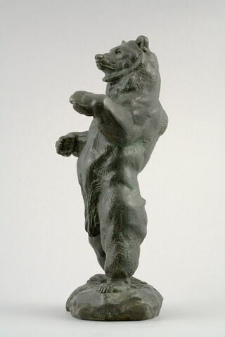 Ours debout, image 3/10