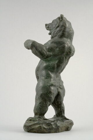 Ours debout, image 4/10