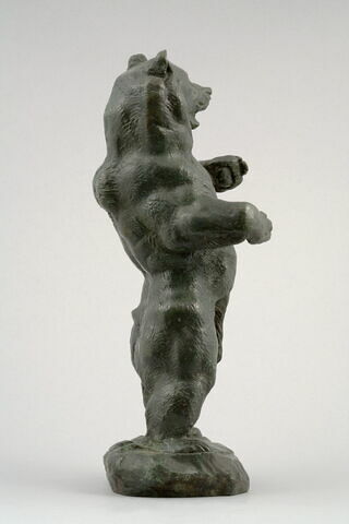 Ours debout, image 7/10