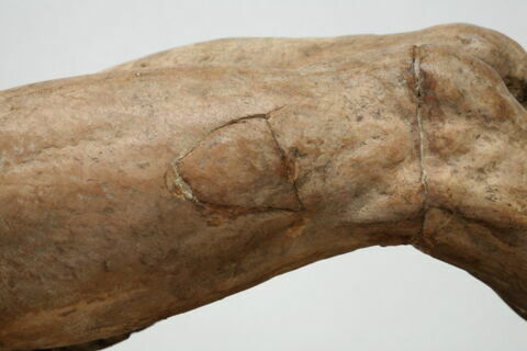 Étude pour un Christ mort ou une figure gisante, image 23/23