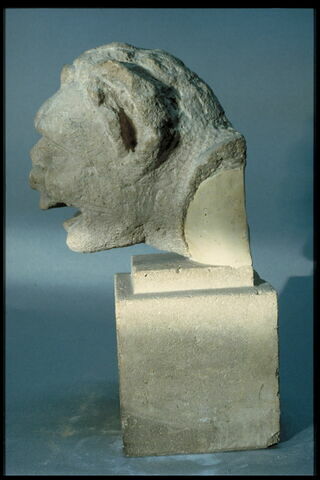 Tête de diable (?), image 2/4