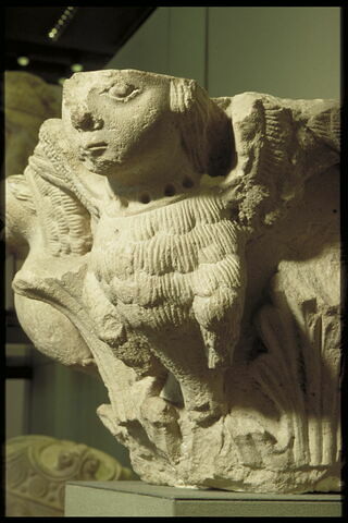 Fragment de chapiteau décoré de feuillages et de quatre figures de harpies, image 9/12