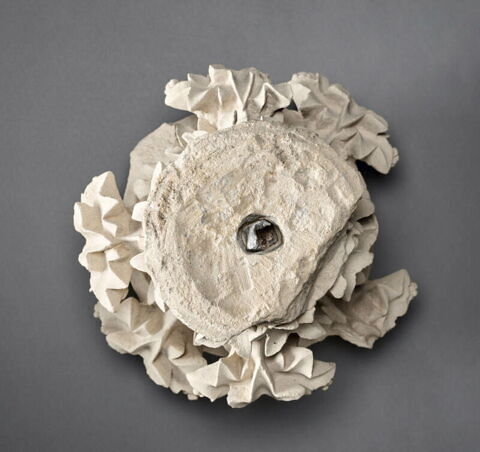Chapiteau décoré de feuilles de lierre, image 10/11