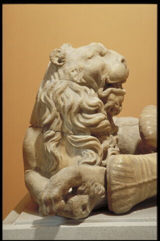 Lion, image 4/5