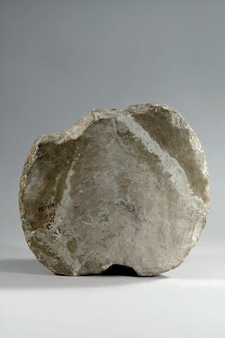 Tête d'apôtre, image 4/7