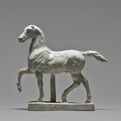 Cheval écorché