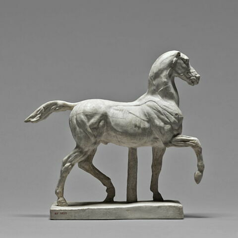 Cheval écorché, image 2/6
