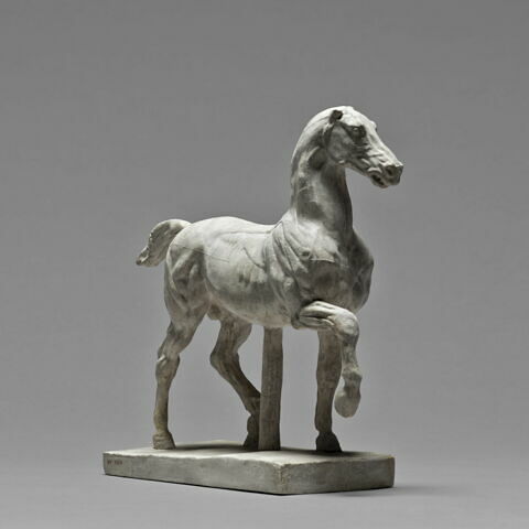 Cheval écorché, image 3/6