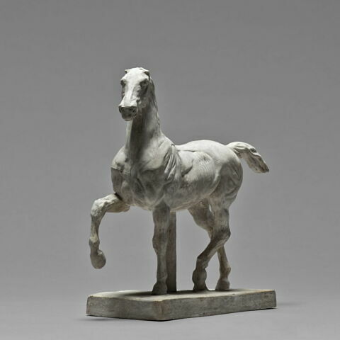 Cheval écorché, image 4/6