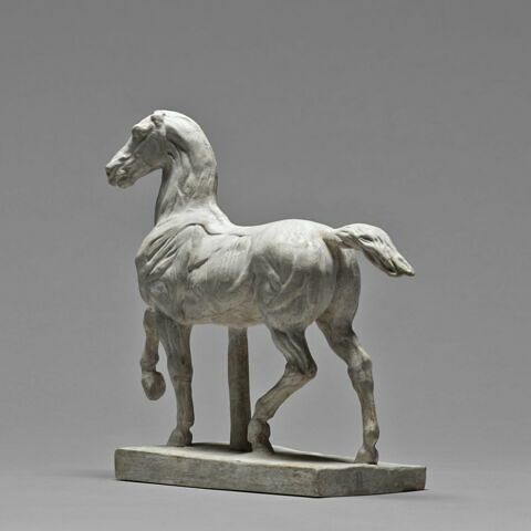Cheval écorché, image 5/6