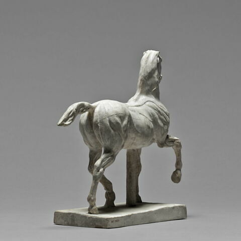 Cheval écorché, image 6/6