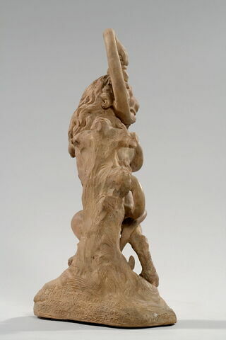 Combat entre un lion et un serpent, image 16/19