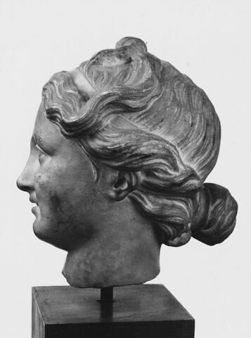Tête de femme (Vénus ?), image 6/6