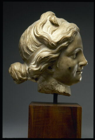 Tête de femme (Vénus ?), image 4/6
