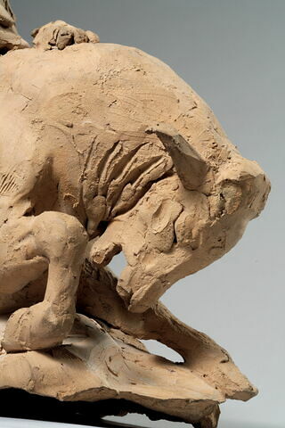 Taureau terrassé par un lion, image 10/18