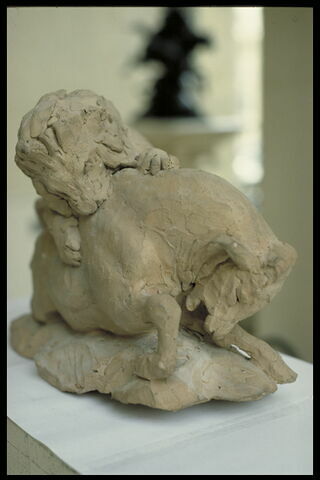Taureau terrassé par un lion, image 17/18