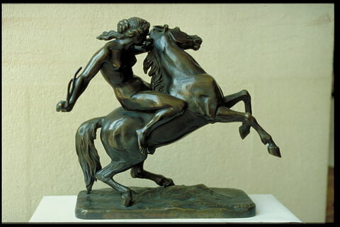 Amazone domptant un cheval, image 8/11