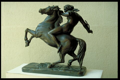 Amazone domptant un cheval, image 10/11