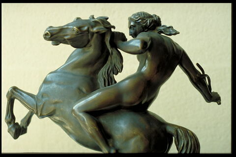 Amazone domptant un cheval, image 11/11