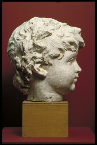 Tête d'enfant couronné de feuillage, image 3/4
