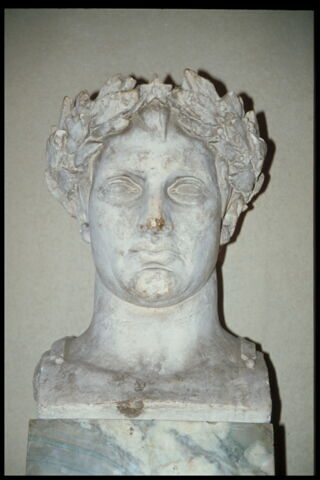 Napoléon Ier couronné de lauriers, image 3/5