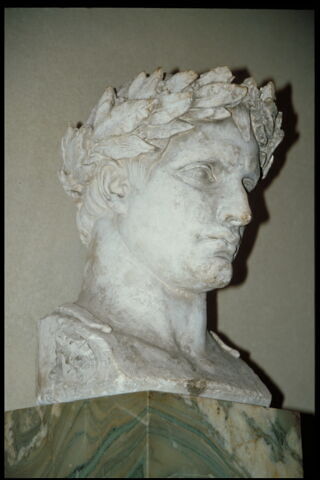 Napoléon Ier couronné de lauriers, image 4/5