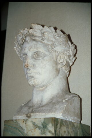 Napoléon Ier couronné de lauriers, image 5/5