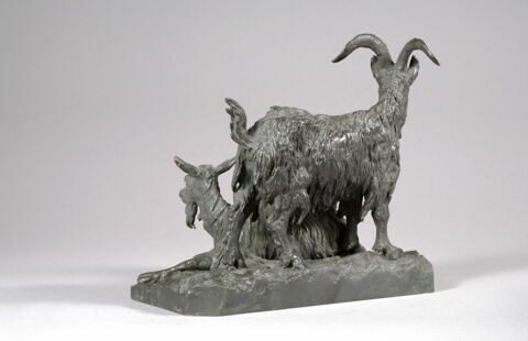 Bouc et chèvre, image 6/8