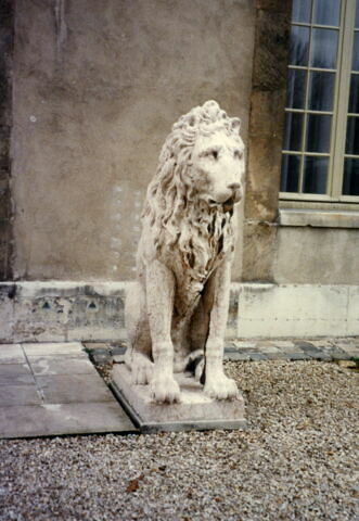 Lion, image 8/9