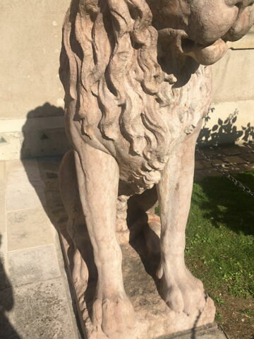 Lion, image 4/9