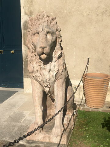 Lion, image 5/9
