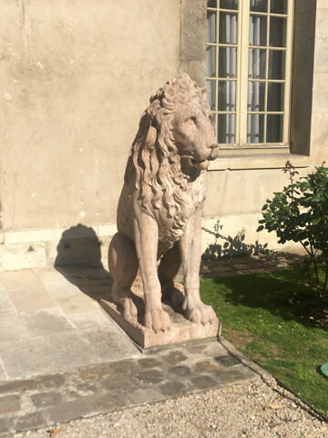 Lion, image 2/9