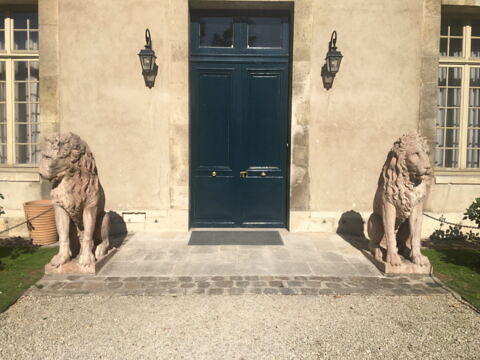 Lion, image 4/8