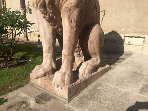 Lion, image 5/8