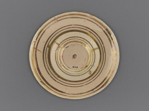 Coupe ronde : lièvre courant, image 2/3