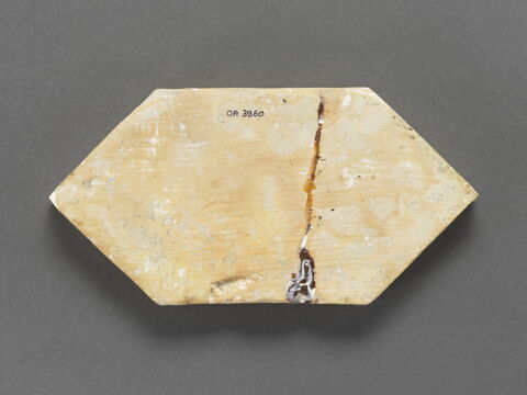Carreau hexagonal : un canard (?) tenant deux feuilles dans son bec, image 2/3