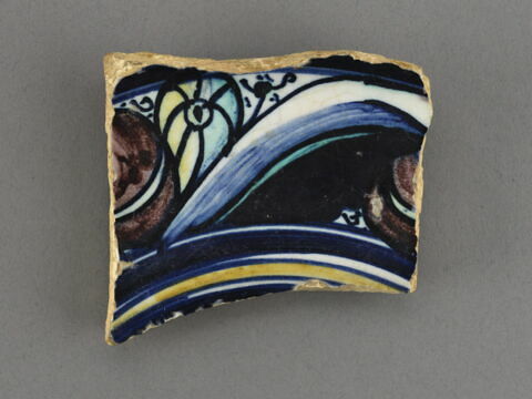 Fragment de l'aile d'un plat