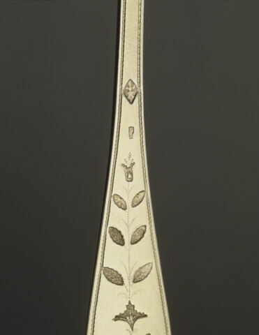 Cuiller à moëlle, image 5/7