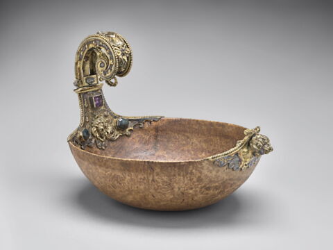 Coui des Indes, image 3/12