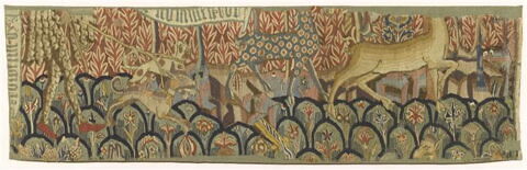 Couples de femmes et d'hommes sauvages évoluant dans un jardin, image 5/5