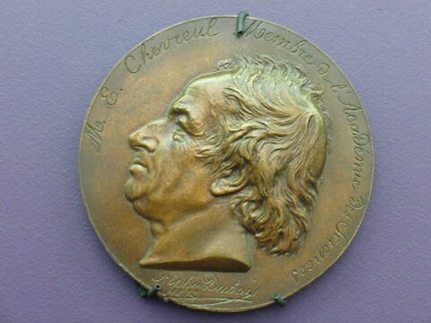 Chevreul. Médaille. Bronze (inventaire)