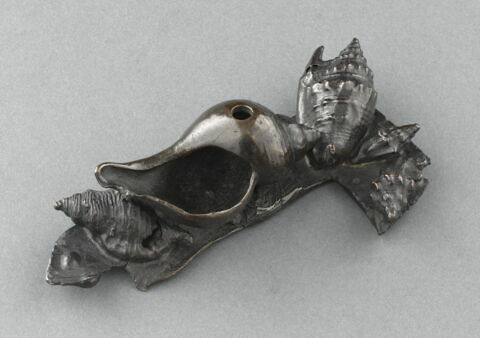 Fragment d'encrier avec coquillages