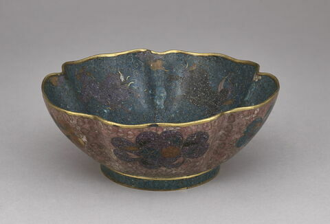 Coupe à cinq lobes