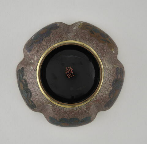 Coupe à cinq lobes, image 4/5