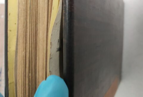Album représentant vingt luohan 罗汉, image 12/30