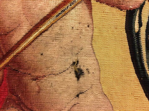 Fragment de la tapisserie Le Triomphe d'Hercule : Hercule tuant le serpent, de la tenture des Triomphes des Dieux, image 10/14