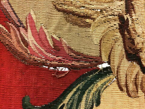 Fragment de la tapisserie Le Triomphe d'Hercule : Hercule tuant le serpent, de la tenture des Triomphes des Dieux, image 11/14